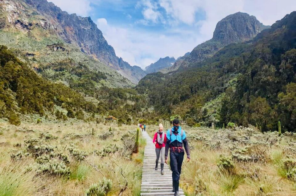 Rwenzori-gebergte-1.jpeg