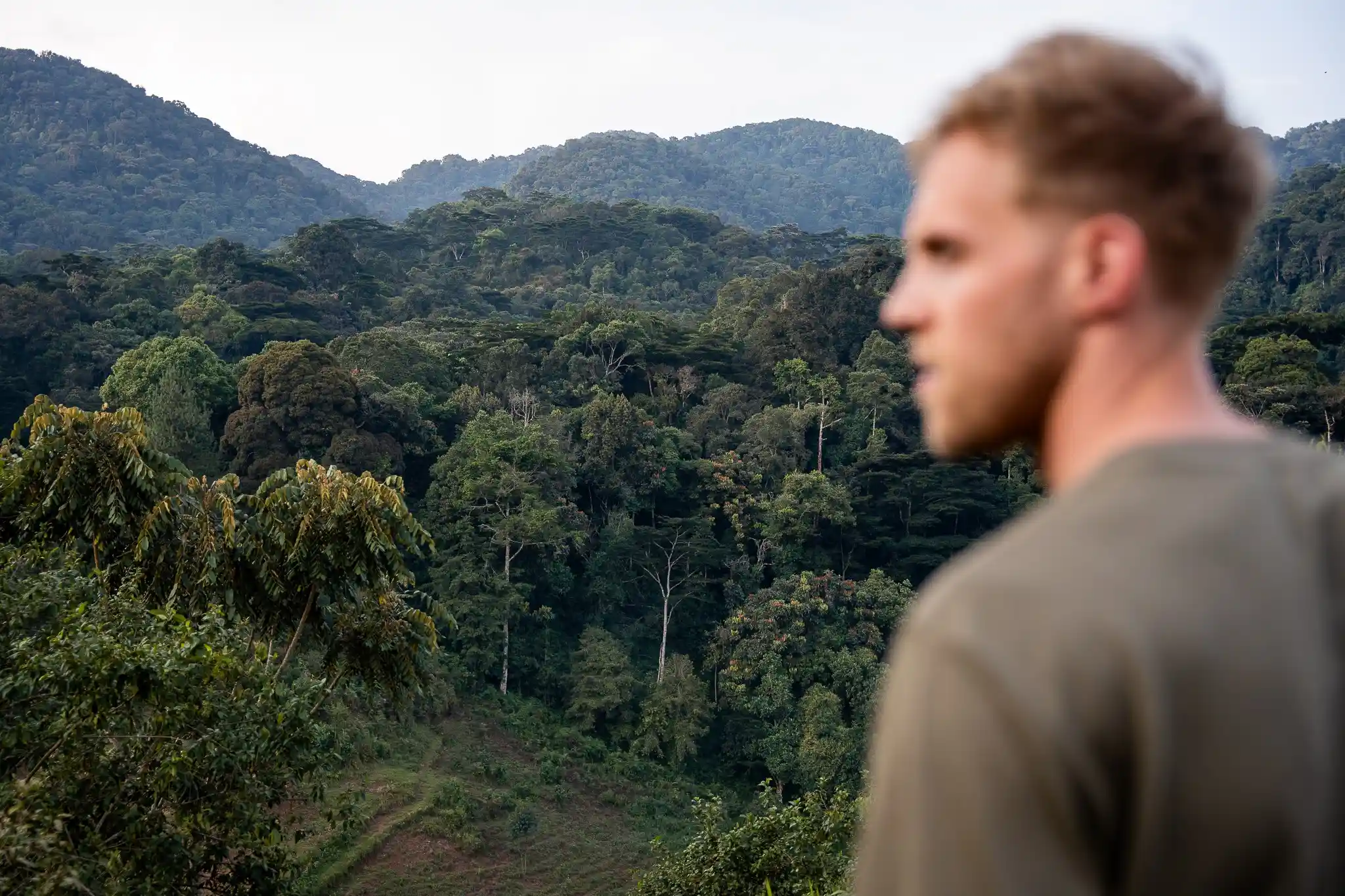 Bwindi (2).webp