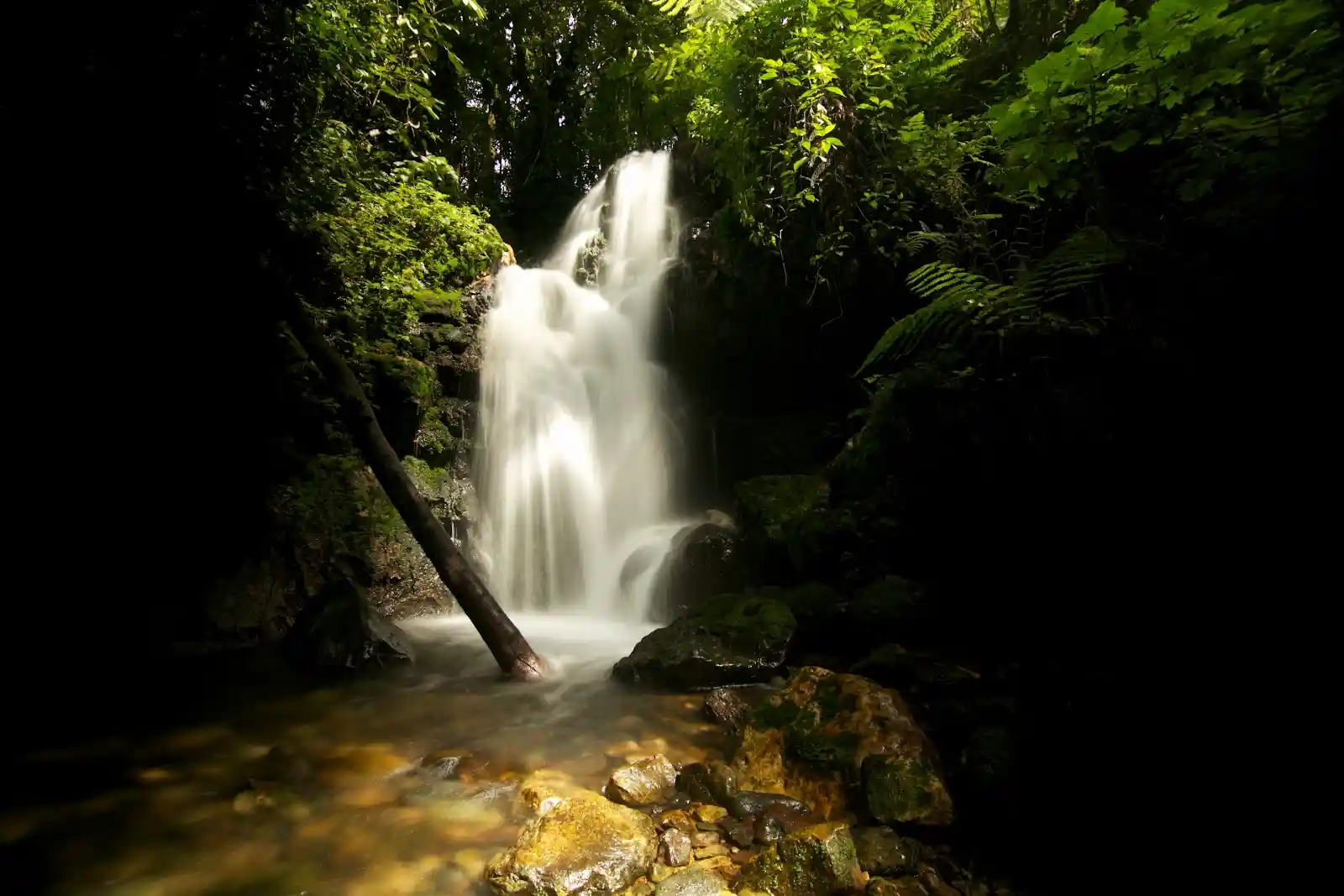 Bwindi waterfalls