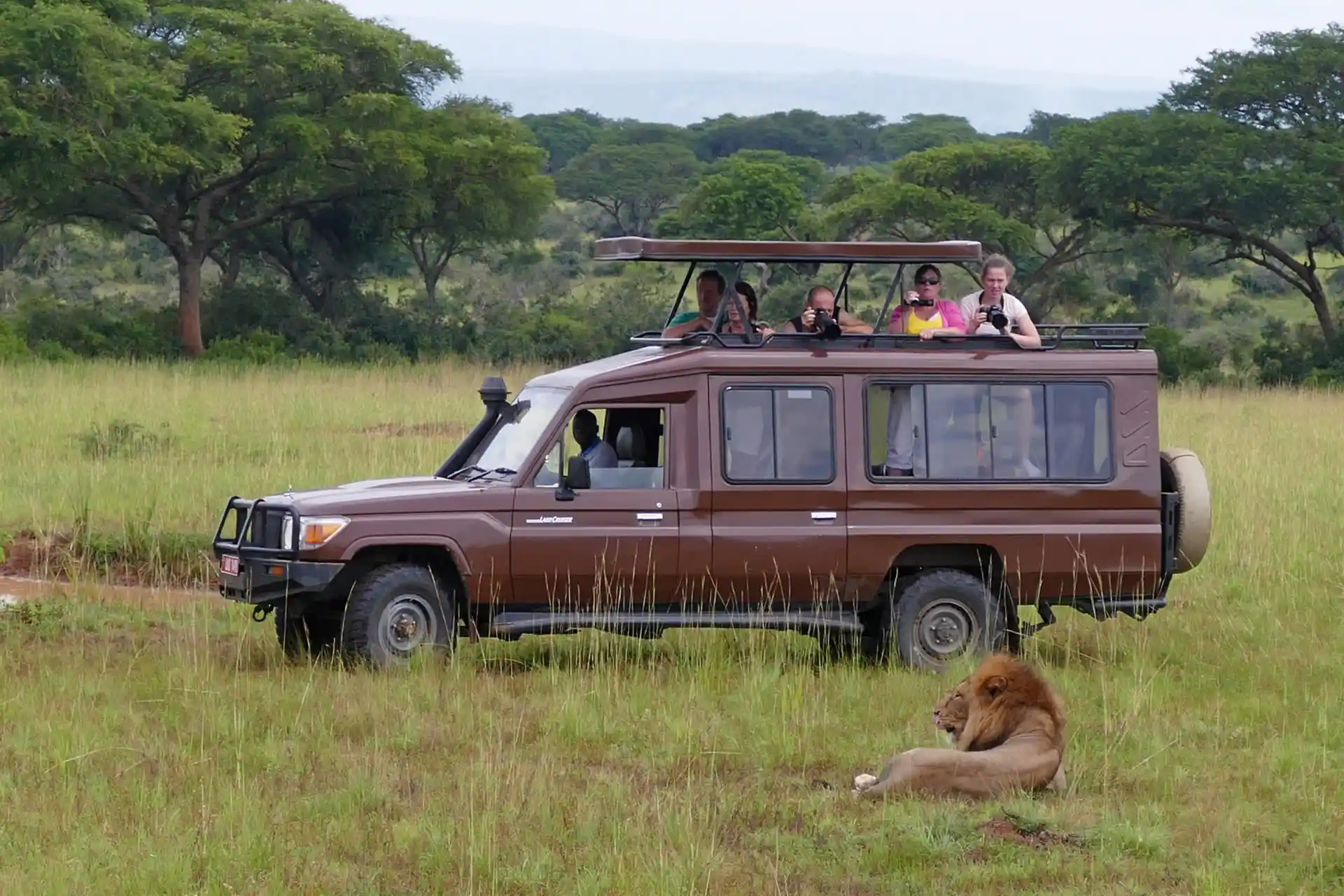 Choose Uganda Safaris