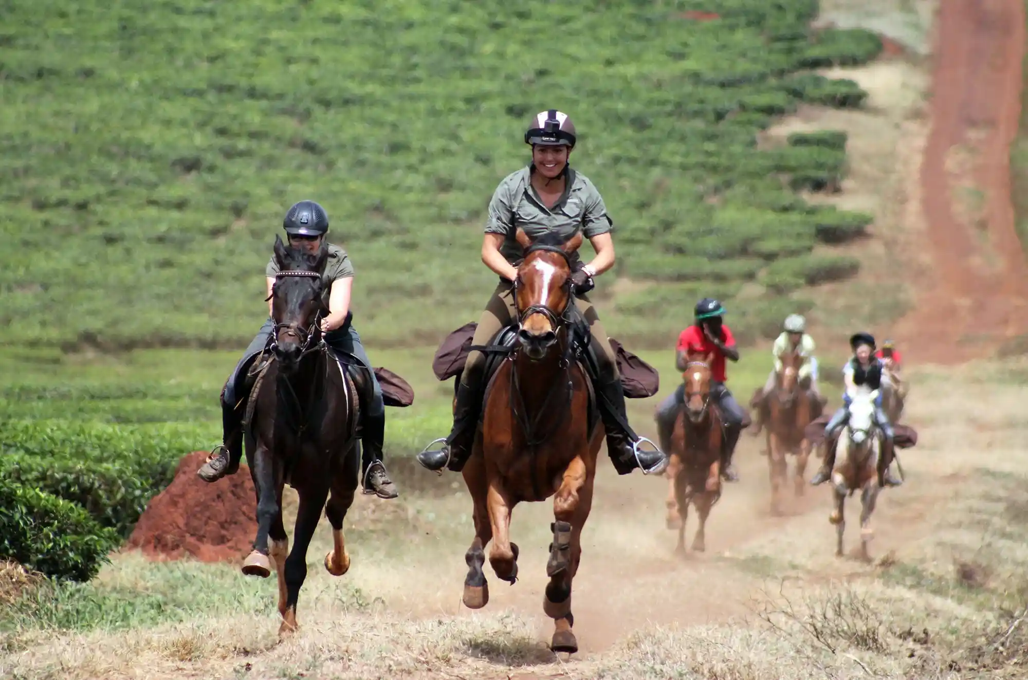 Horse-Riding-8-min.webp