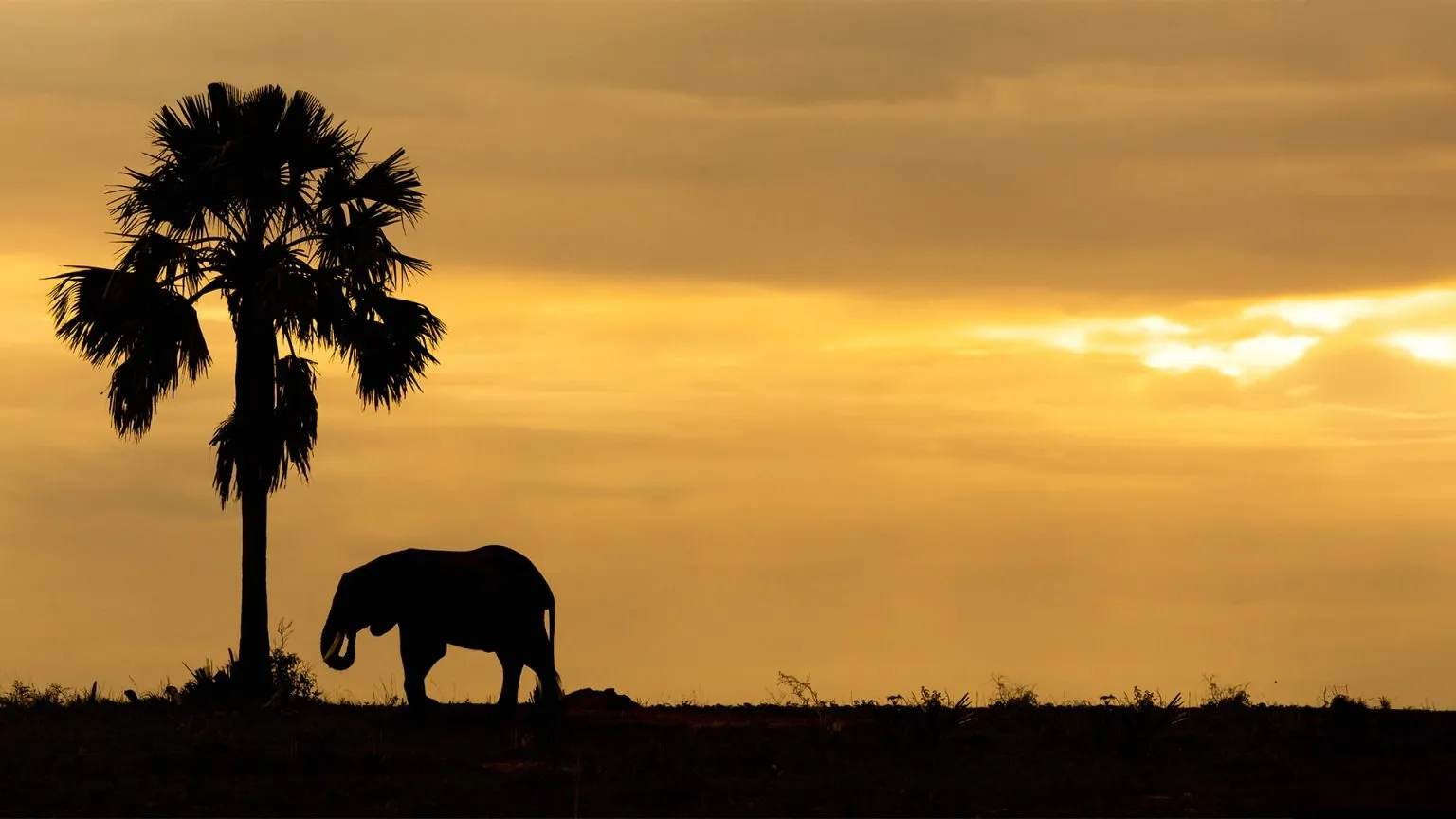 Uganda Safari cost