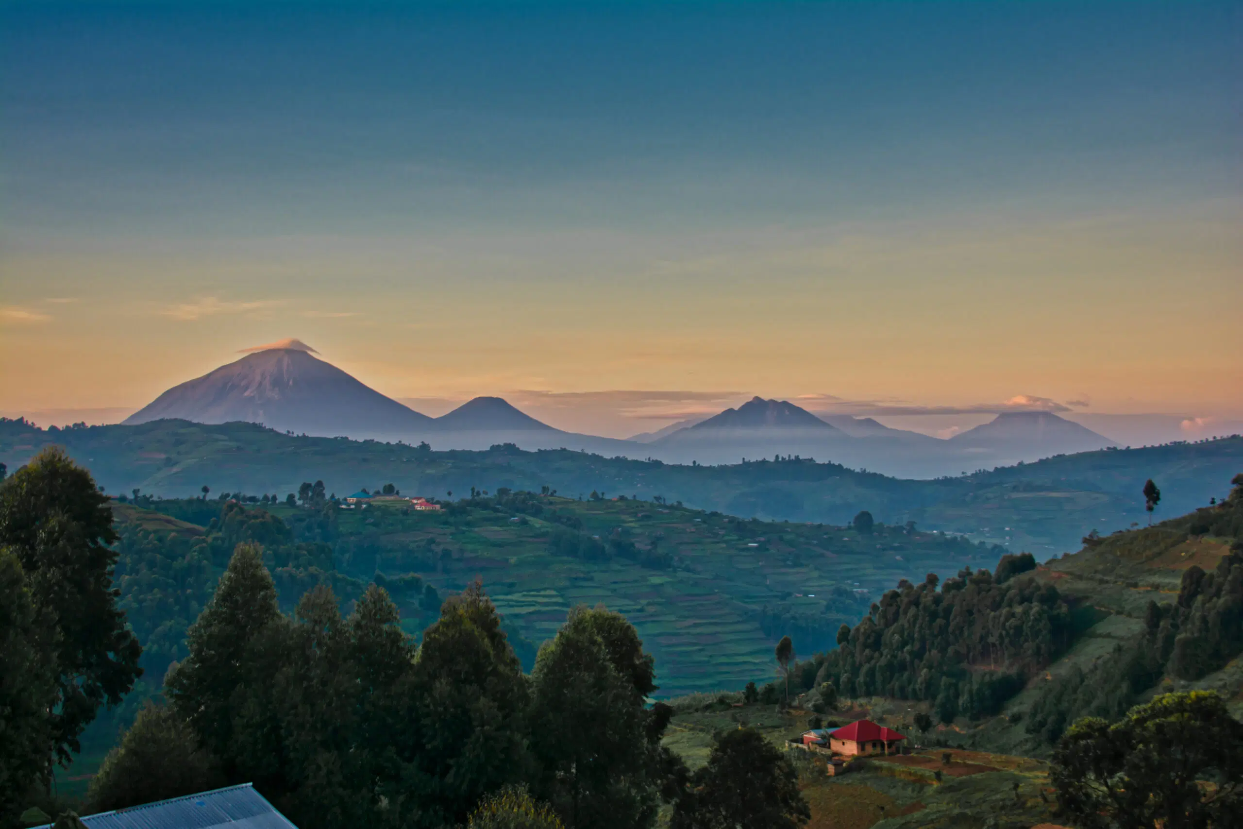 4 Days Uganda Safaris