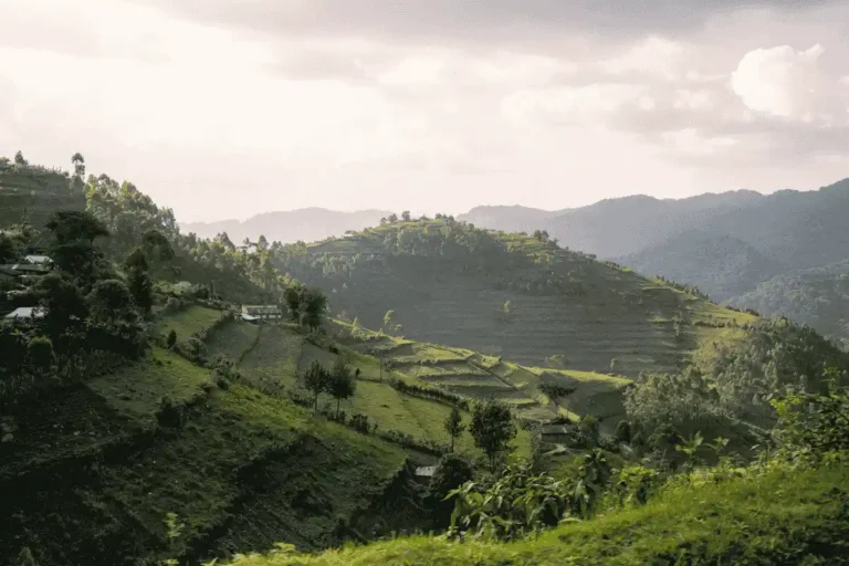 Best Time To Visit Uganda (2).webp