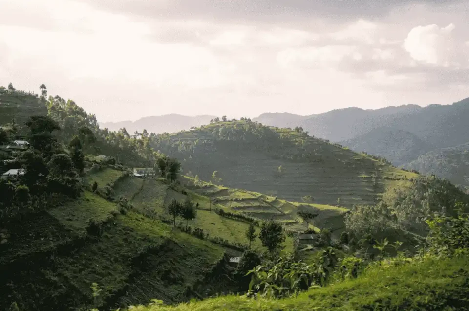 Best Time To Visit Uganda (2).webp
