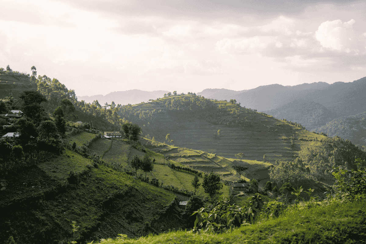 Best Time To Visit Uganda.webp