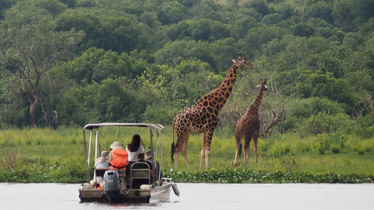 15 Day Uganda Safari