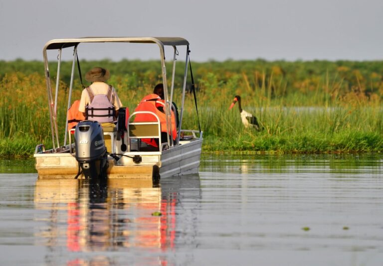 Birding in Uganda.jpeg