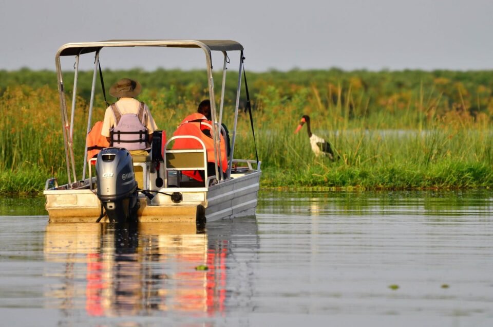 Birding in Uganda.jpeg