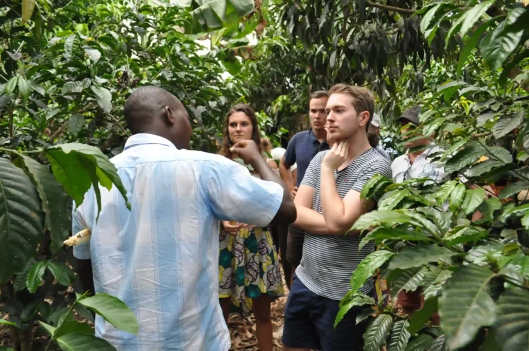 Coffee Tour.webp