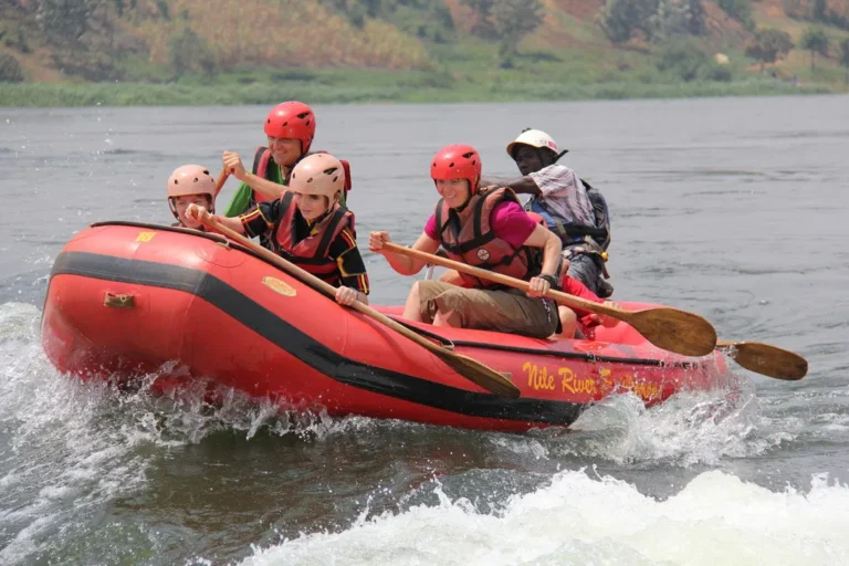 Uganda Safaris