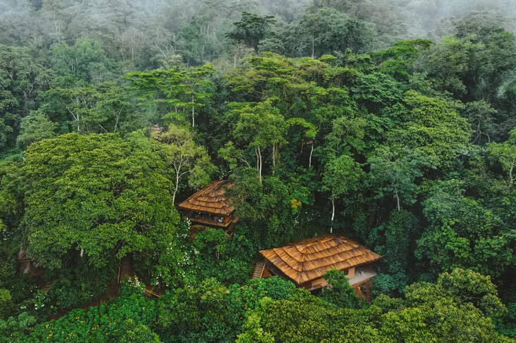 Sanctuary Gorilla Forest Lodge.webp