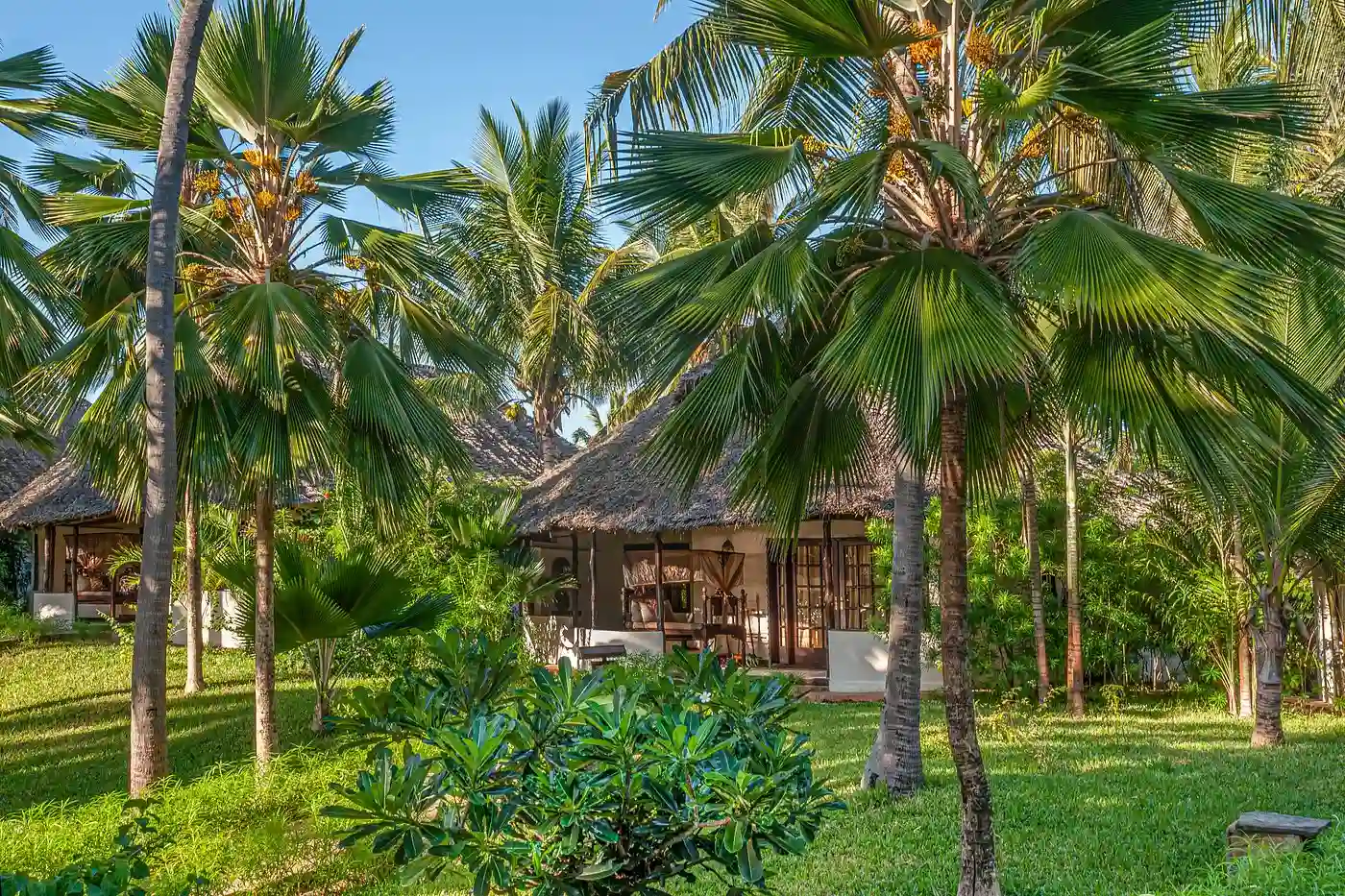 The Palms