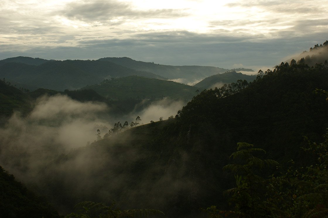 anreise-uganda-bwindi-nationalpark-8.jpg