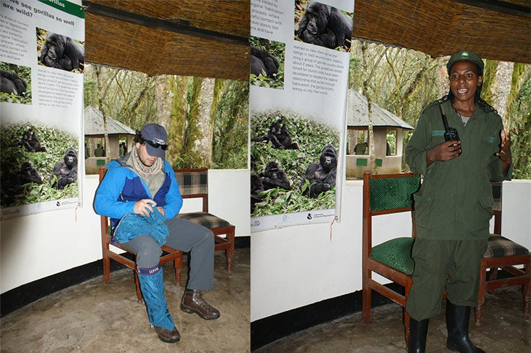 gorilla-trekking-uganda-bwindi-nationalpark-4