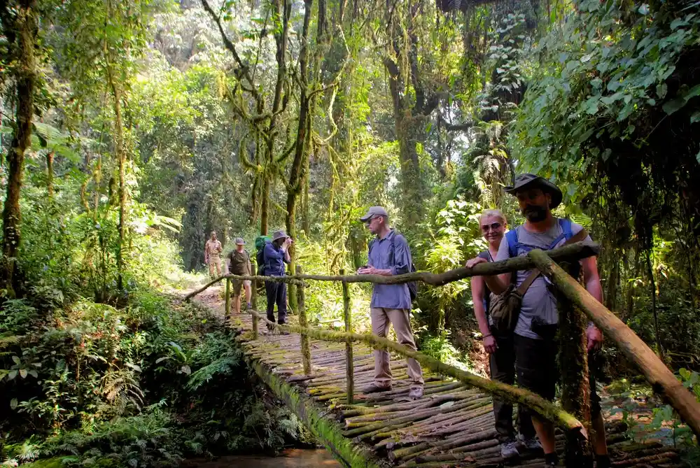 Bwindi-bridge-Ultimate-Hike-Gorilla-Highlands-Tours-photo-by-Henriette-Faye-Schjoll