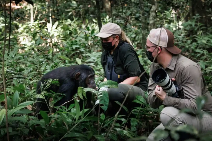 21 Day Uganda Ultimate Safari | 3 Weeks In Uganda