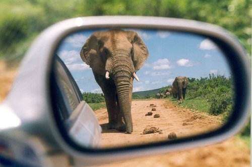 Choose Uganda Safaris