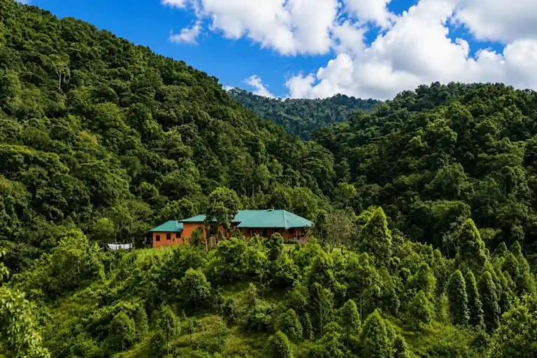 Gorilla Valley Lodge 1 (1)