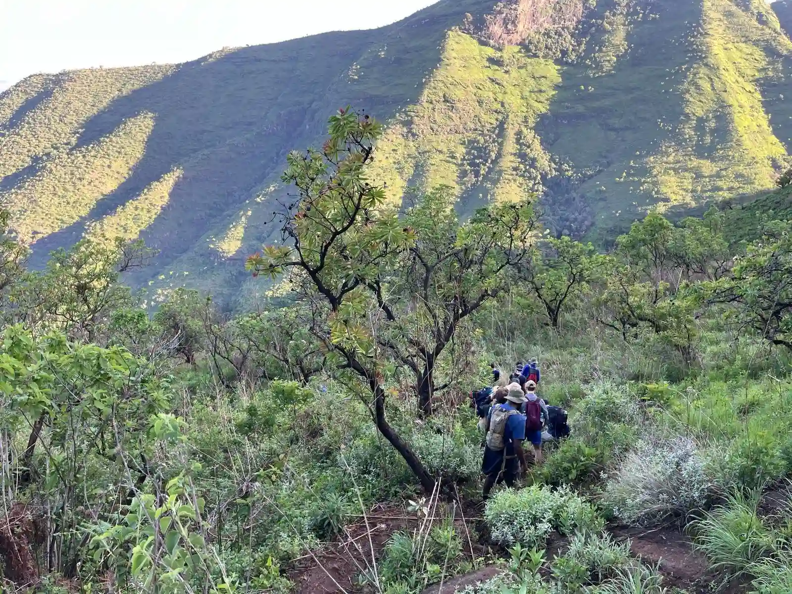 Mount-Moroto_2025-04-23-091007_pytf