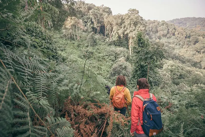 Practical tips for a trip to Uganda