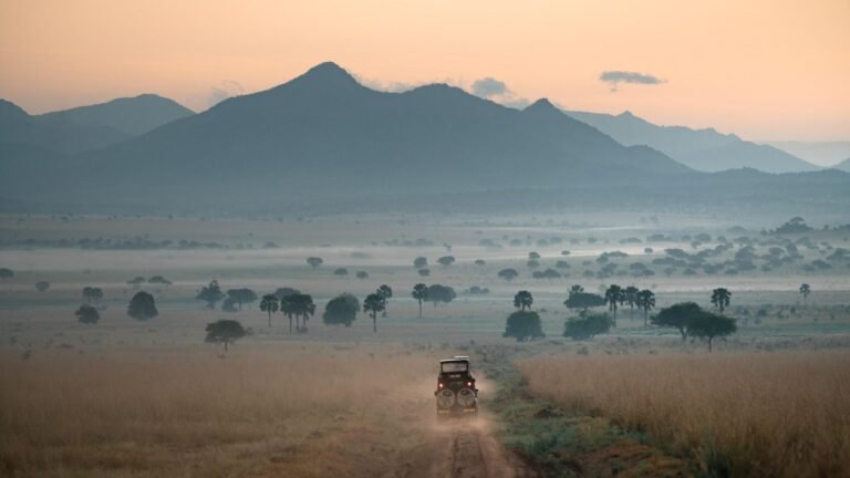 Uganda tours